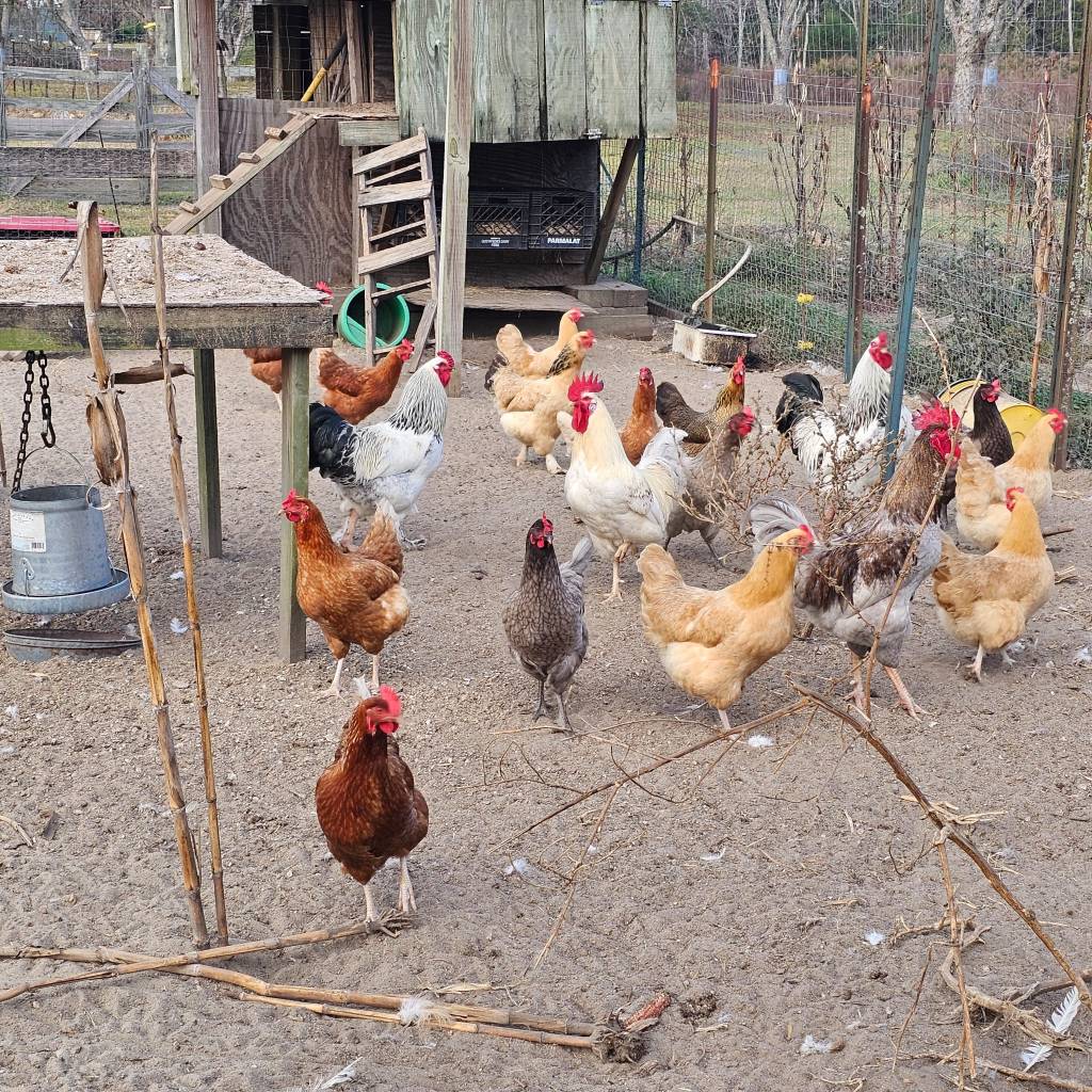 The Pitfalls of&nbsp;Process