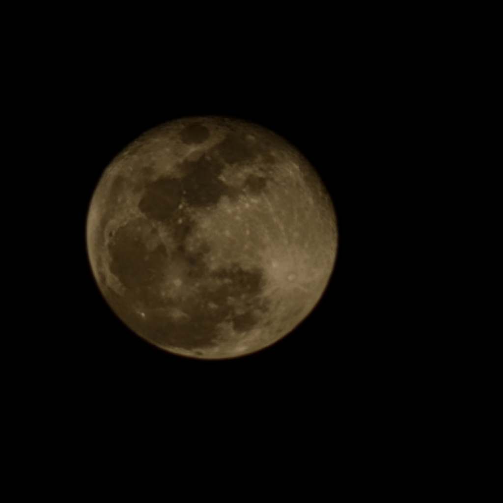 Members of a Secret&nbsp;Way